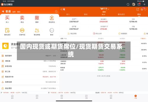 国内现货或期货席位/现货期货交易系统