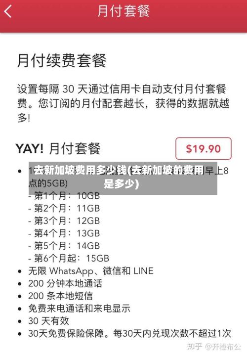 去新加坡费用多少钱(去新加坡的费用是多少)