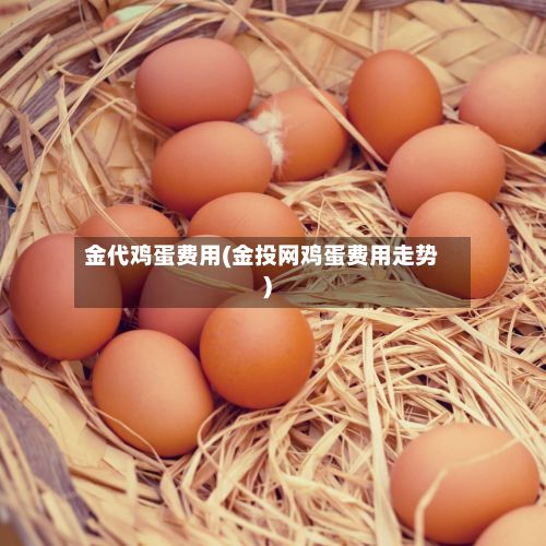 金代鸡蛋费用(金投网鸡蛋费用走势)