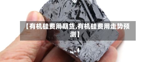 【有机硅费用期货,有机硅费用走势预测】