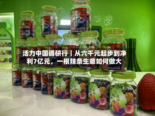 活力中国调研行|从六千元起步到净利7亿元,一根辣条生意如何做大