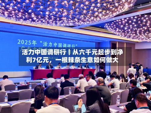 活力中国调研行｜从六千元起步到净利7亿元，一根辣条生意如何做大-第2张图片