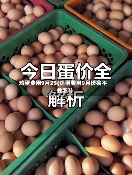 鸡蛋费用9月25(鸡蛋费用9月份会不会涨?)