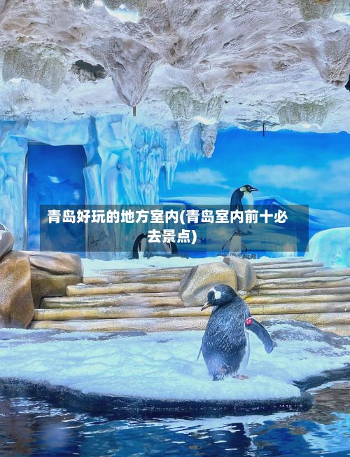 青岛好玩的地方室内(青岛室内前十必去景点)