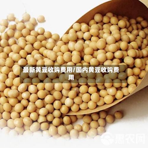 最新黄豆收购费用/国内黄豆收购费用