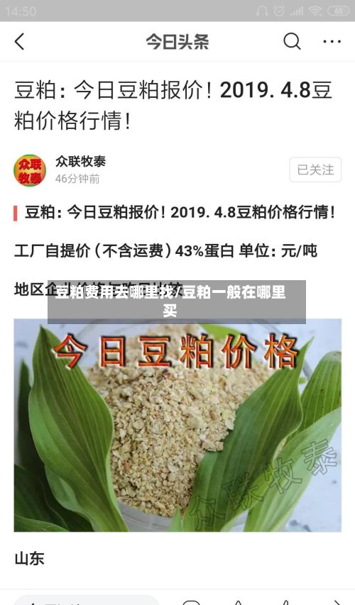 豆粕费用去哪里找/豆粕一般在哪里买-第2张图片