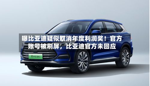 曝比亚迪疑似取消年度利润奖！官方账号被刷屏，比亚迪官方未回应-第3张图片
