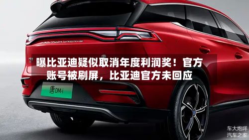 曝比亚迪疑似取消年度利润奖！官方账号被刷屏，比亚迪官方未回应-第2张图片