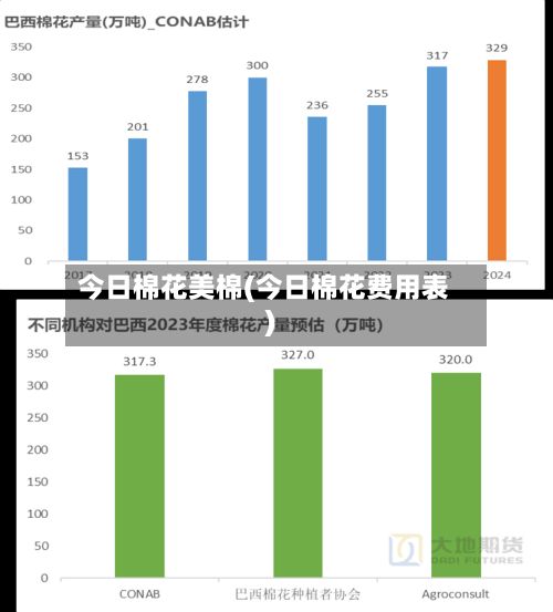 今日棉花美棉(今日棉花费用表)