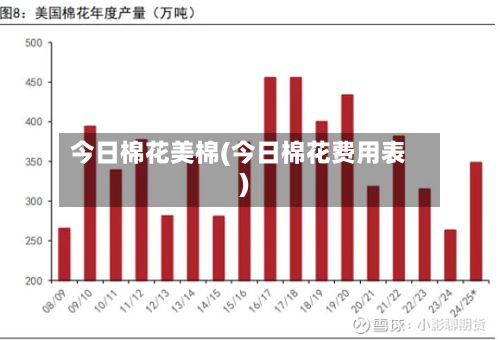 今日棉花美棉(今日棉花费用表)-第2张图片