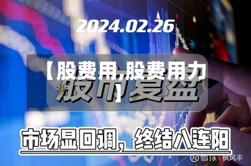 【股费用,股费用力】-第2张图片
