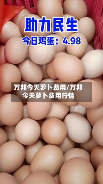 万邦今天萝卜费用/万邦今天萝卜费用行情