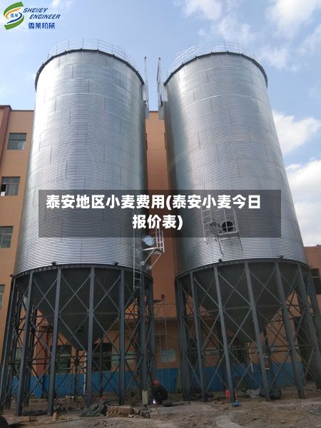 泰安地区小麦费用(泰安小麦今日报价表)