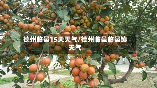 德州临邑15天天气/德州临邑临邑镇天气