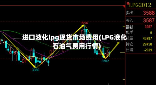 进口液化lpg现货市场费用(LPG液化石油气费用行情)