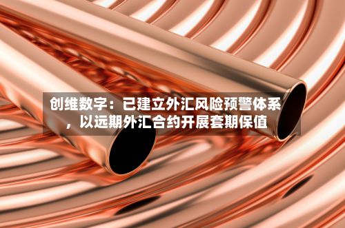 创维数字:已建立外汇风险预警体系,以远期外汇合约开展套期保值