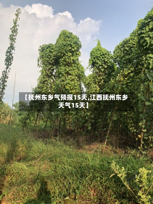 【抚州东乡气预报15天,江西抚州东乡天气15天】