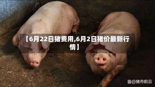 【6月22日猪费用,6月2日猪价最新行情】