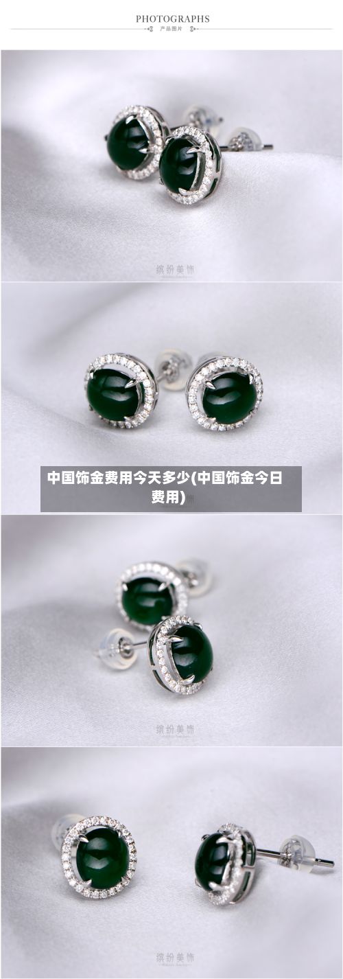 中国饰金费用今天多少(中国饰金今日费用)-第3张图片