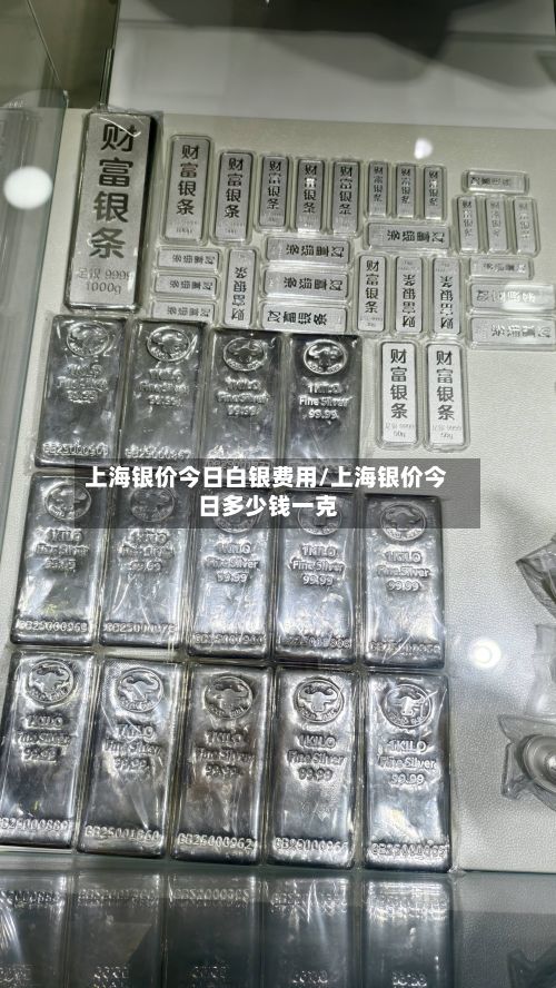 上海银价今日白银费用/上海银价今日多少钱一克-第2张图片