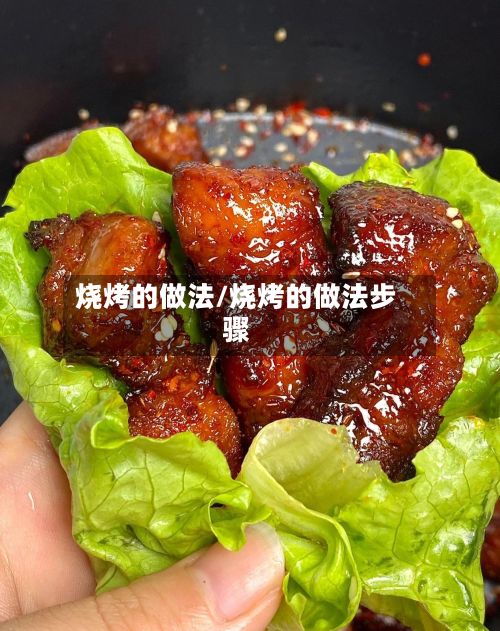 烧烤的做法/烧烤的做法步骤