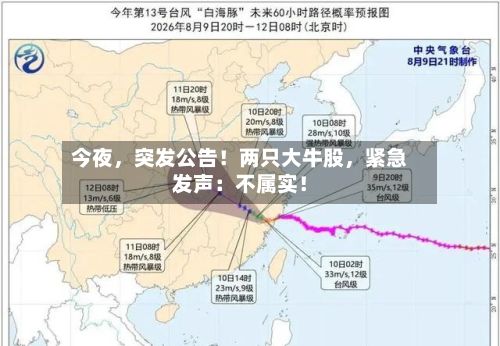 今夜，突发公告！两只大牛股，紧急发声：不属实！-第3张图片