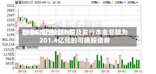 智谱拟配售比较多
2196.5万股新H股及发行本金总额为201.4亿元的可换股债券-第1张图片