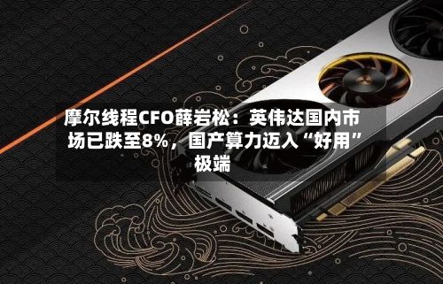 摩尔线程CFO薛岩松：英伟达国内市场已跌至8%	，国产算力迈入“好用	”极端-第2张图片