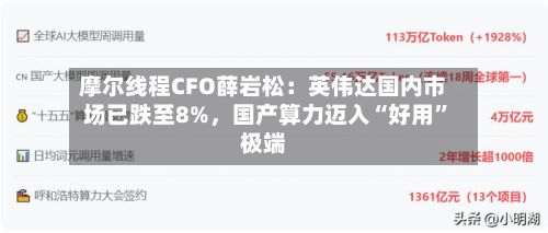 摩尔线程CFO薛岩松：英伟达国内市场已跌至8%	，国产算力迈入“好用”极端-第3张图片