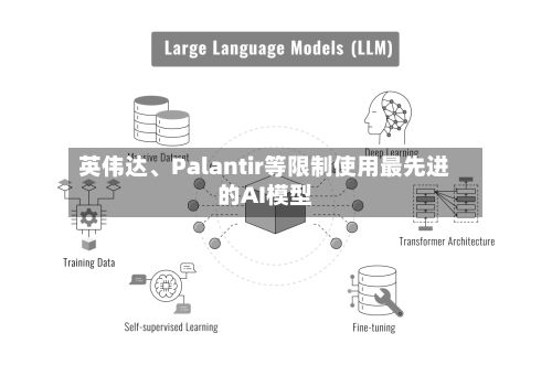 英伟达	、Palantir等限制使用最先进的AI模型-第2张图片