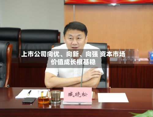 上市公司向优、向新	、向强 资本市场价值成长根基稳-第2张图片