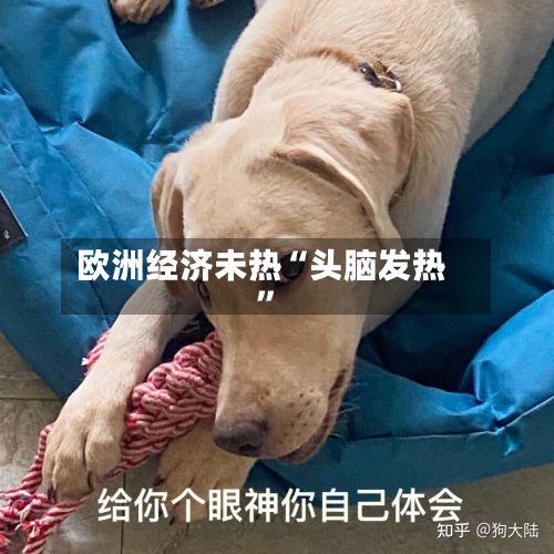 欧洲经济未热“头脑发热	”-第2张图片