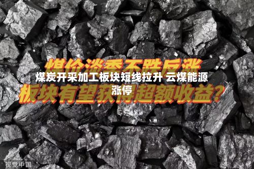 煤炭开采加工板块短线拉升 云煤能源涨停
