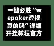 一键必胜“wepoker透视真的吗”详细开挂教程官方正版下载-第3张图片