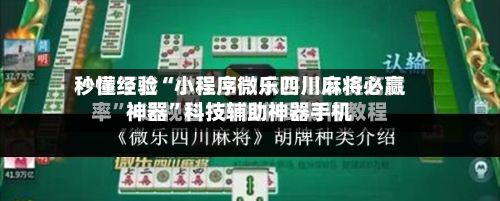 秒懂经验“小程序微乐四川麻将必赢神器”科技辅助神器手机-第3张图片
