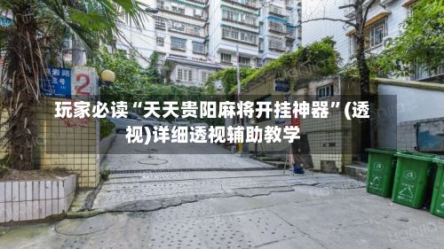 玩家必读“天天贵阳麻将开挂神器	”(透视)详细透视辅助教学-第2张图片