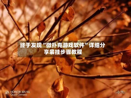 终于发现“微扑克游戏软件”详细分享装挂步骤教程-第2张图片