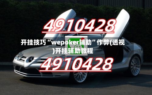 开挂技巧“wepoker辅助	”作弊(透视)开挂辅助教程-第3张图片