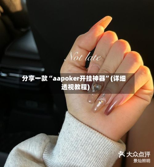分享一款“aapoker开挂神器”(详细透视教程)-第3张图片
