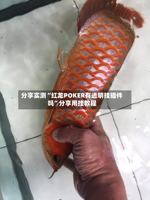 分享实测“红龙POKER有透明挂插件吗”分享用挂教程-第3张图片