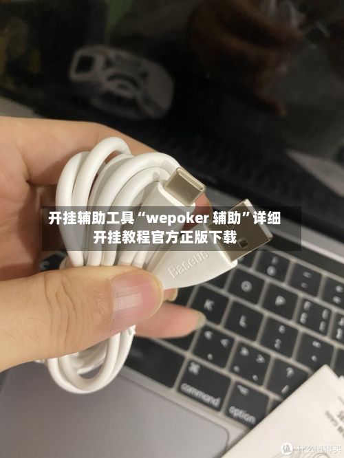 开挂辅助工具“wepoker 辅助”详细开挂教程官方正版下载-第2张图片