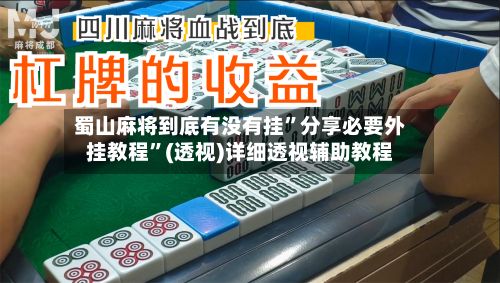 蜀山麻将到底有没有挂”分享必要外挂教程”(透视)详细透视辅助教程-第3张图片