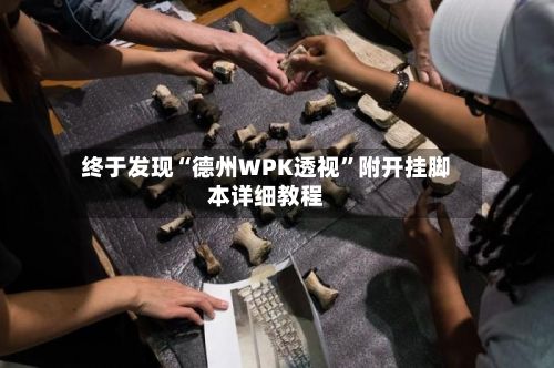 终于发现“德州WPK透视”附开挂脚本详细教程-第2张图片
