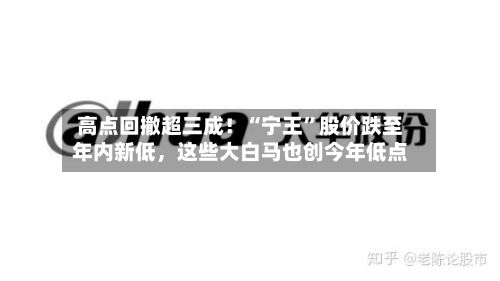 高点回撤超三成！“宁王”股价跌至年内新低，这些大白马也创今年低点-第3张图片