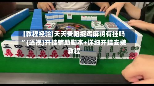 [教程经验]天天贵阳捉鸡麻将有挂吗	”(透视)开挂辅助脚本+详细开挂安装教程-第2张图片