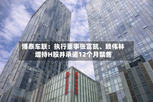 博泰车联：执行董事张富凯	、赖伟林增持H股并承诺12个月禁售-第2张图片