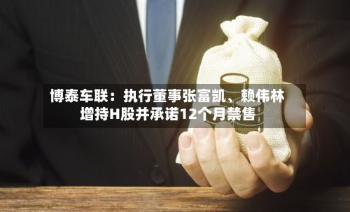 博泰车联：执行董事张富凯、赖伟林增持H股并承诺12个月禁售-第3张图片
