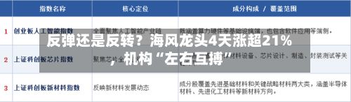 反弹还是反转？海风龙头4天涨超21%	，机构“左右互搏”-第2张图片