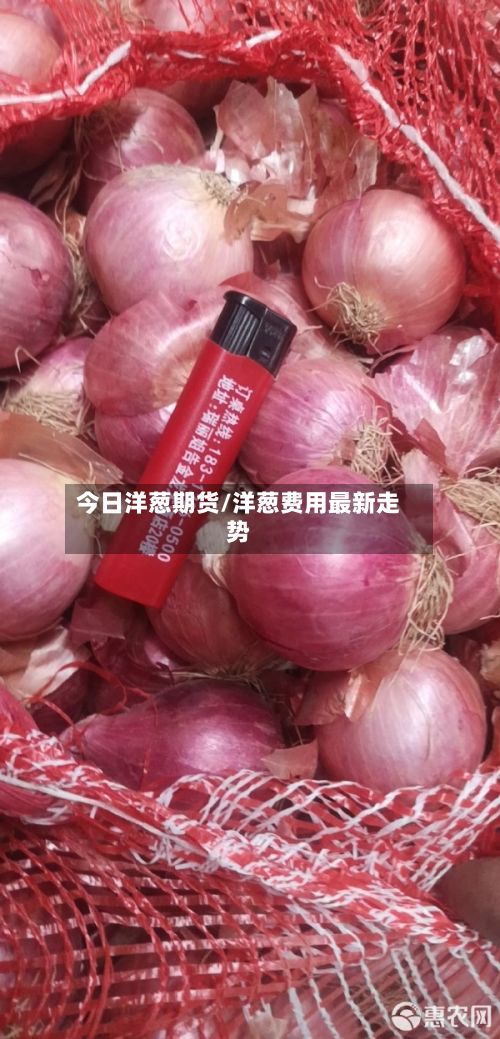 今日洋葱期货/洋葱费用最新走势-第2张图片
