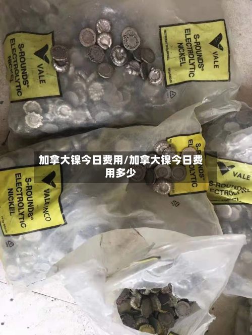 加拿大镍今日费用/加拿大镍今日费用多少